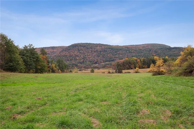 $499,000 | Westkill Road, North Blenheim, NY 12131