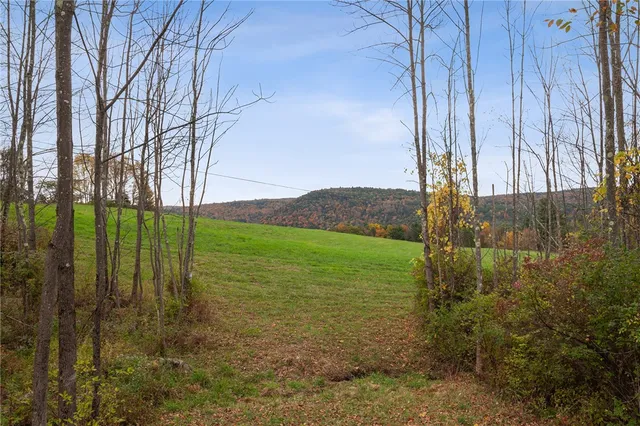 $499,000 | Westkill Road, North Blenheim, NY 12131