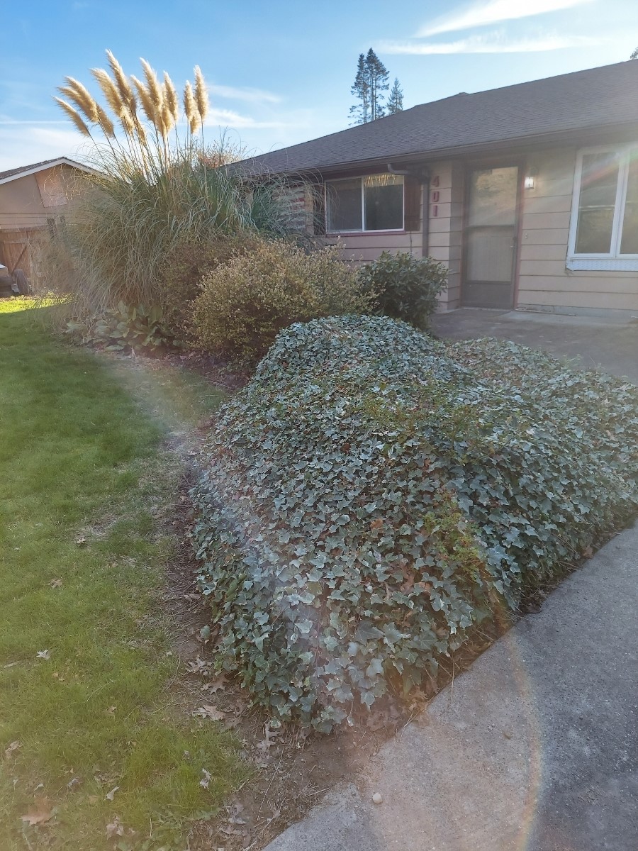 401 South Gardner Road Burlington, WA 98233 - Photo 1 of 13