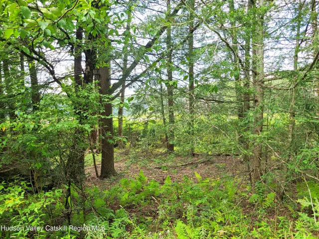 a view of outdoor space and trees