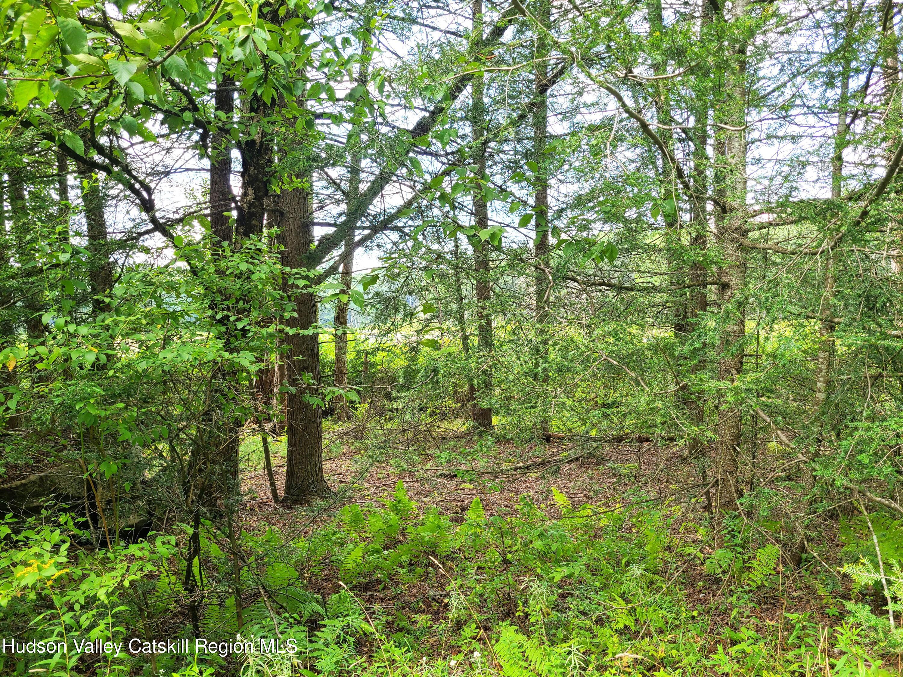Lot 23 Deer Meadow Road White Lake, NY 12786 - Photo 11 of 39 a view of outdoor space and trees