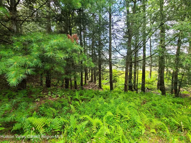 a view of backyard with green space