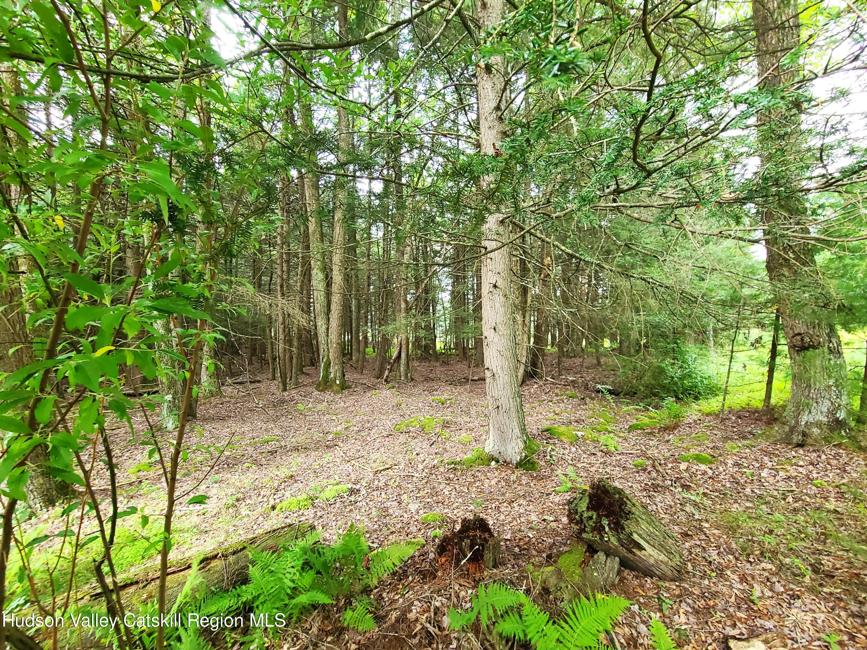 Lot 23 Deer Meadow Road White Lake, NY 12786 - Photo 13 of 39 a backyard of a house with lots of green space