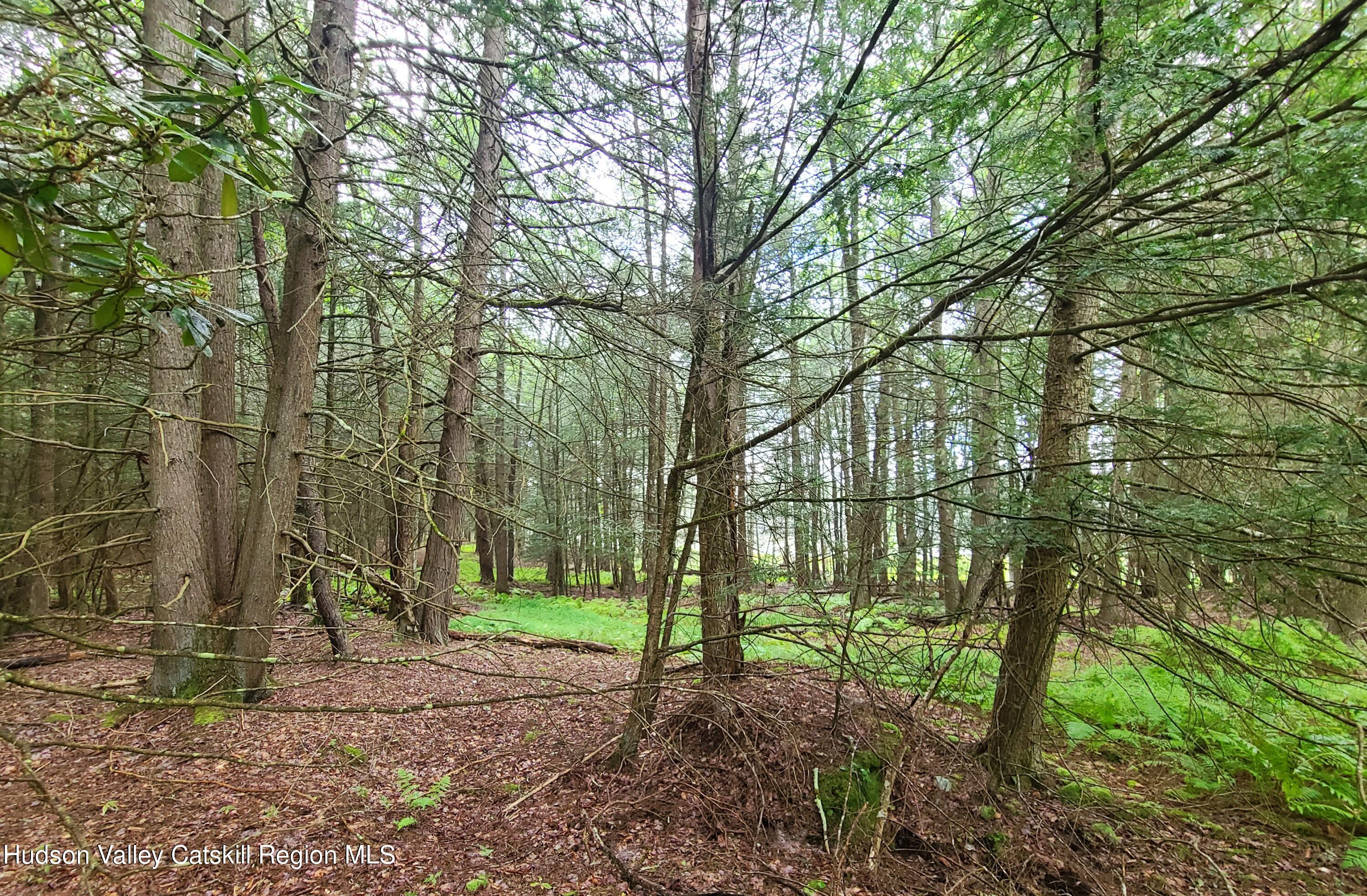 Lot 23 Deer Meadow Road White Lake, NY 12786 - Photo 14 of 39 a backyard of a house with lots of green space
