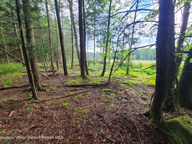 a view of a yard with a tree