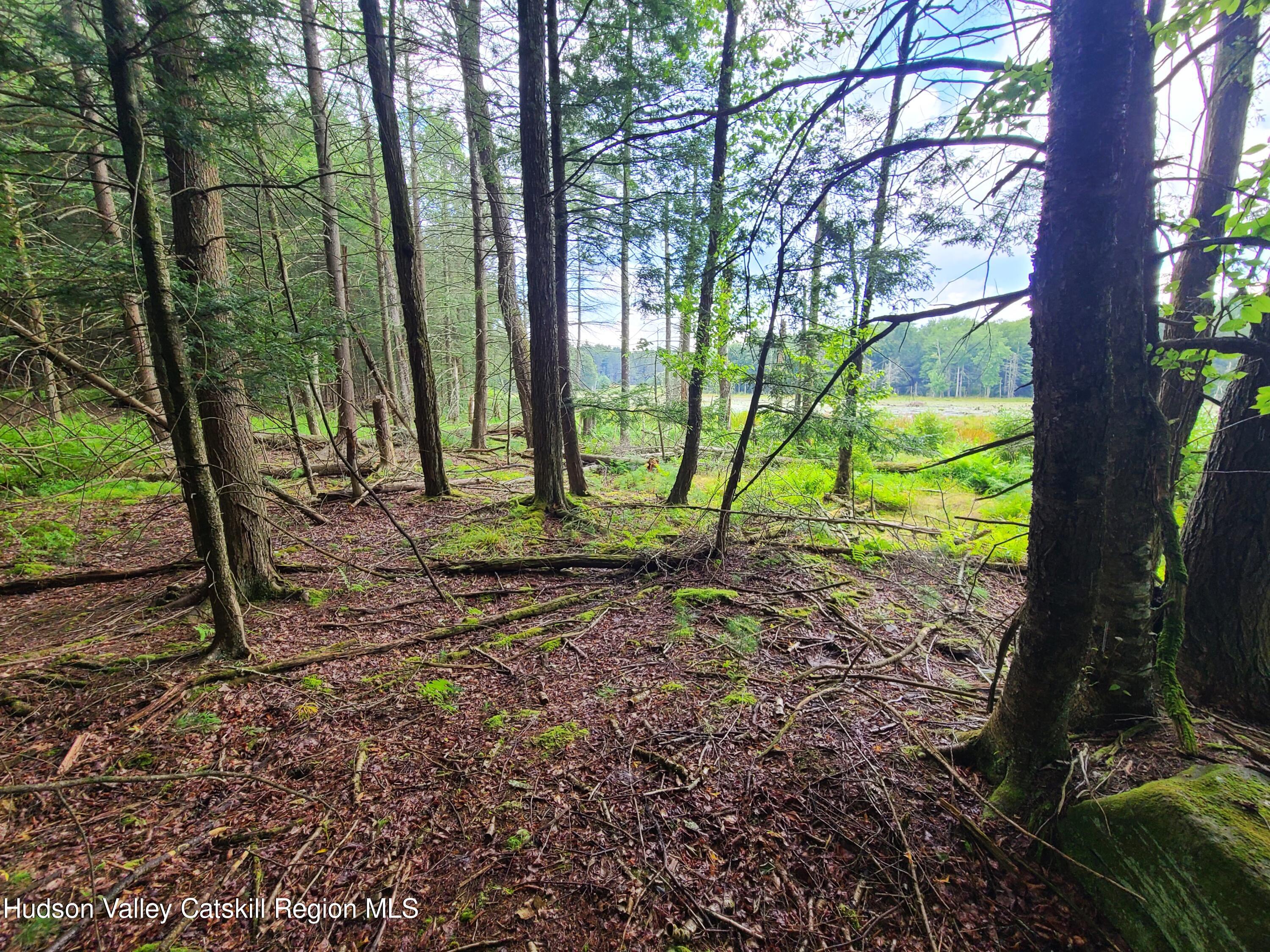 Lot 23 Deer Meadow Road White Lake, NY 12786 - Photo 15 of 39 a view of a yard with a tree