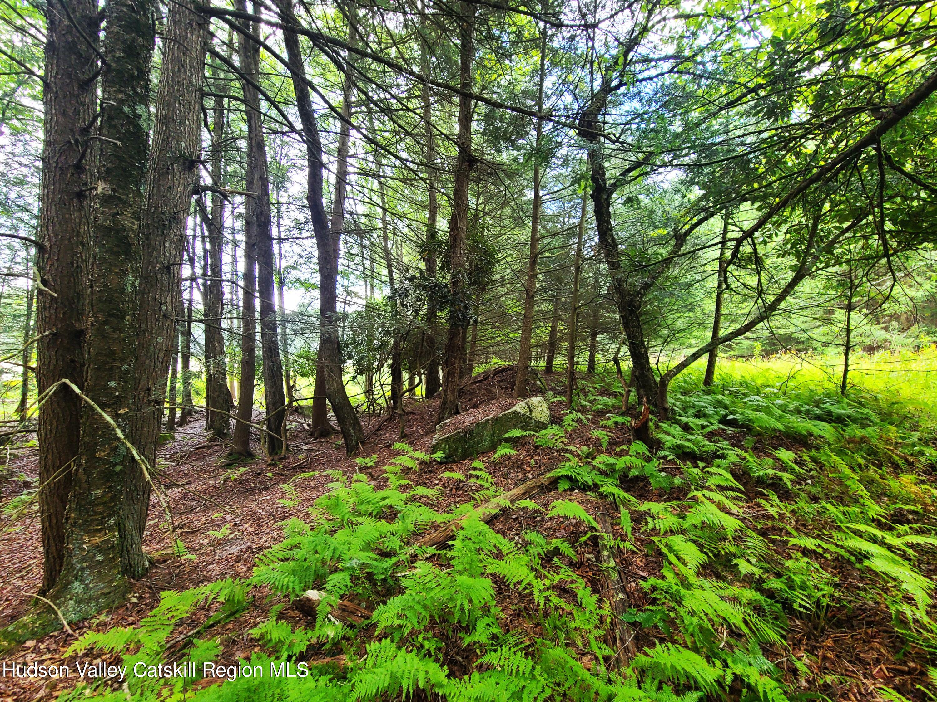 Lot 23 Deer Meadow Road White Lake, NY 12786 - Photo 17 of 39 a backyard of a house with lots of green space and chair