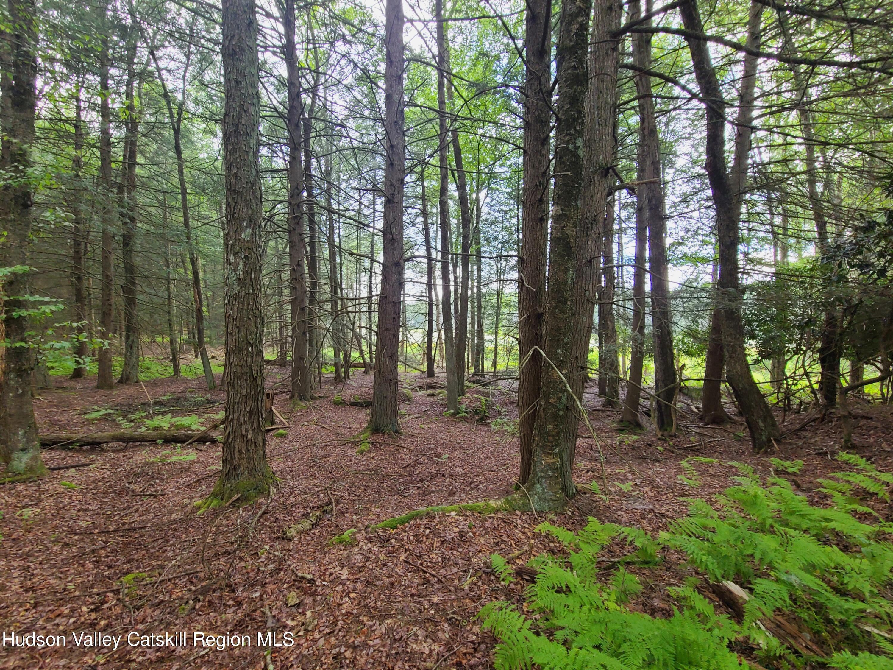 Lot 23 Deer Meadow Road White Lake, NY 12786 - Photo 18 of 39 a backyard of a house with lots of green space