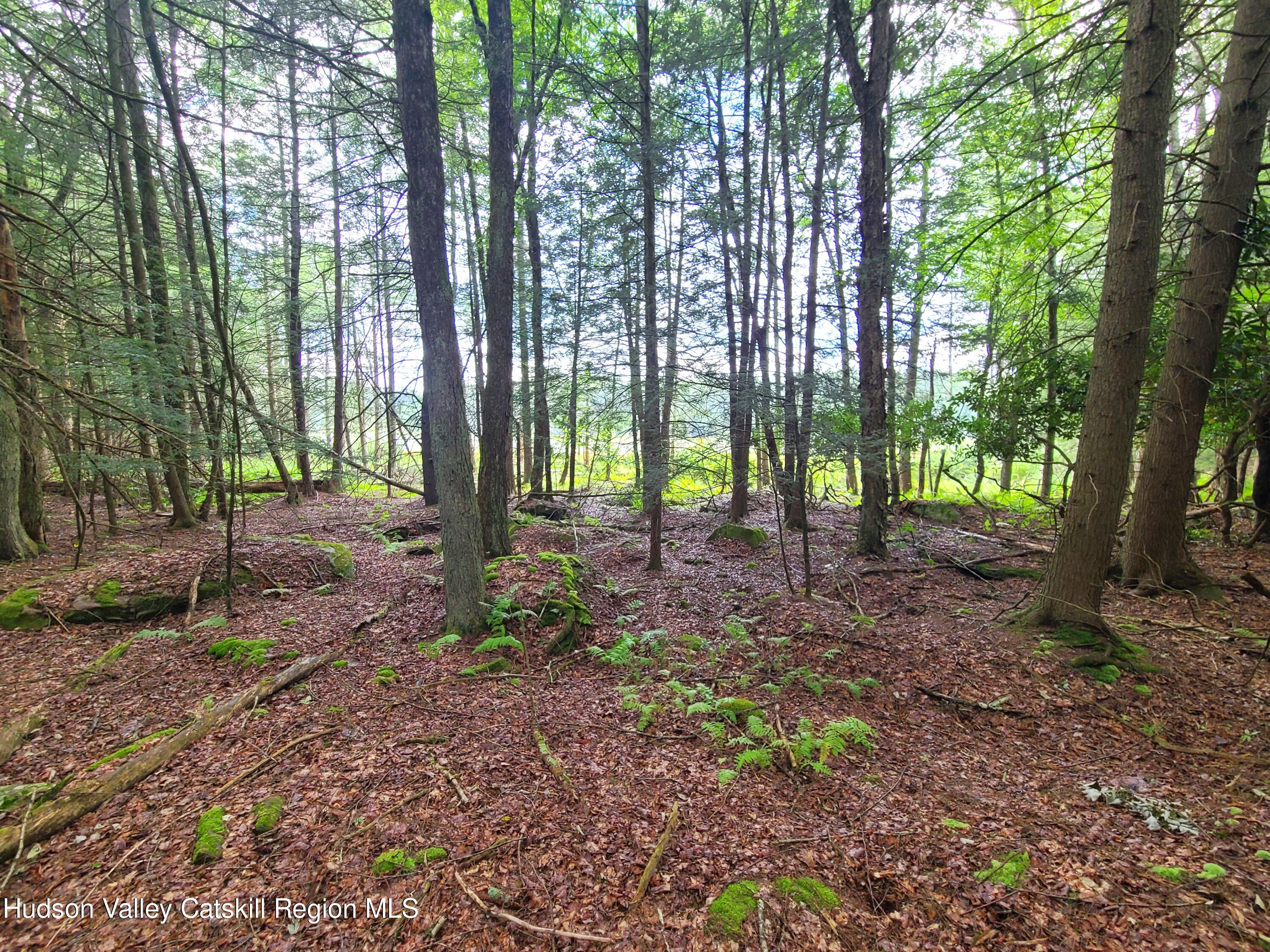 Lot 23 Deer Meadow Road White Lake, NY 12786 - Photo 19 of 39 a view of outdoor space and green space