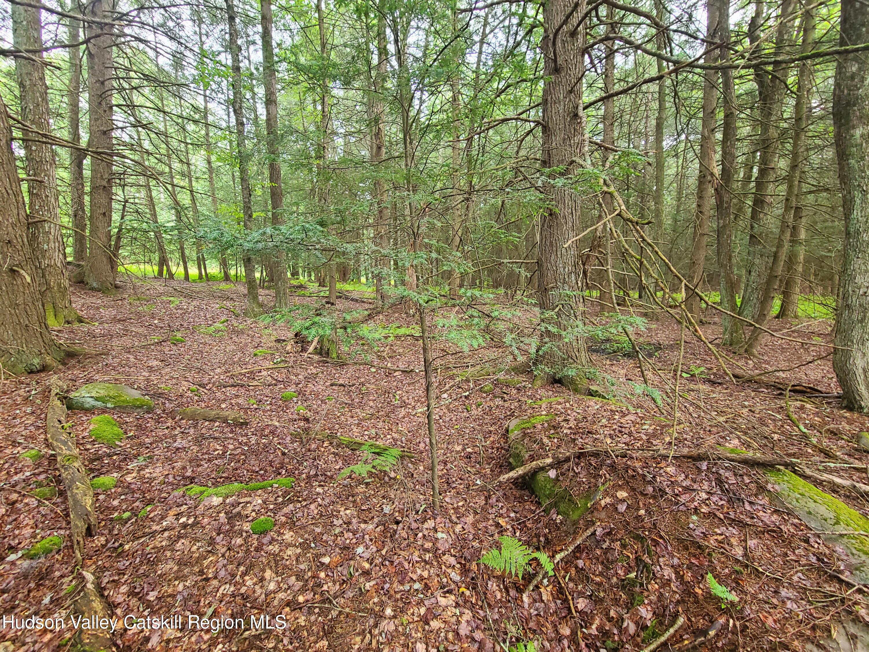 Lot 23 Deer Meadow Road White Lake, NY 12786 - Photo 20 of 39 a backyard of a house with lots of green space