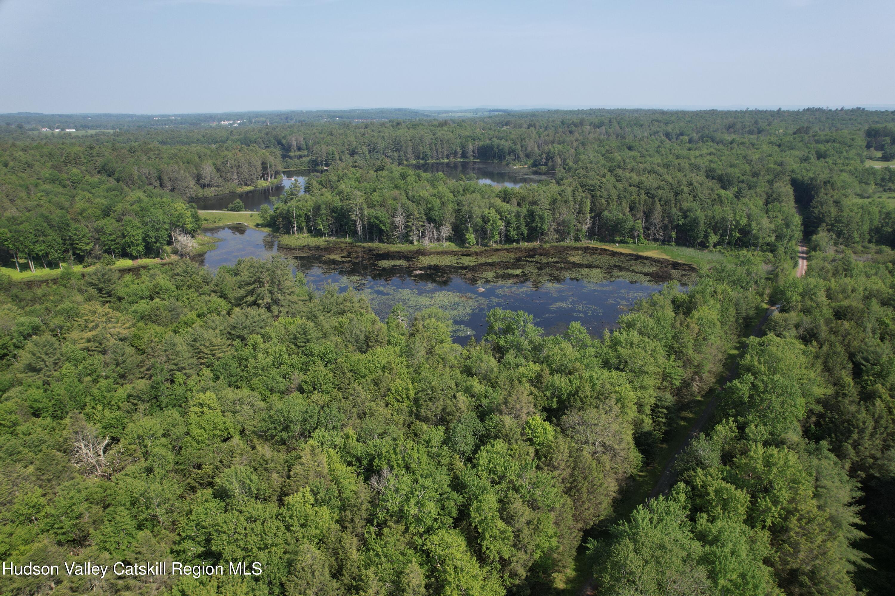 Lot 23 Deer Meadow Road White Lake, NY 12786 - Photo 2 of 39 a view of a outdoor space