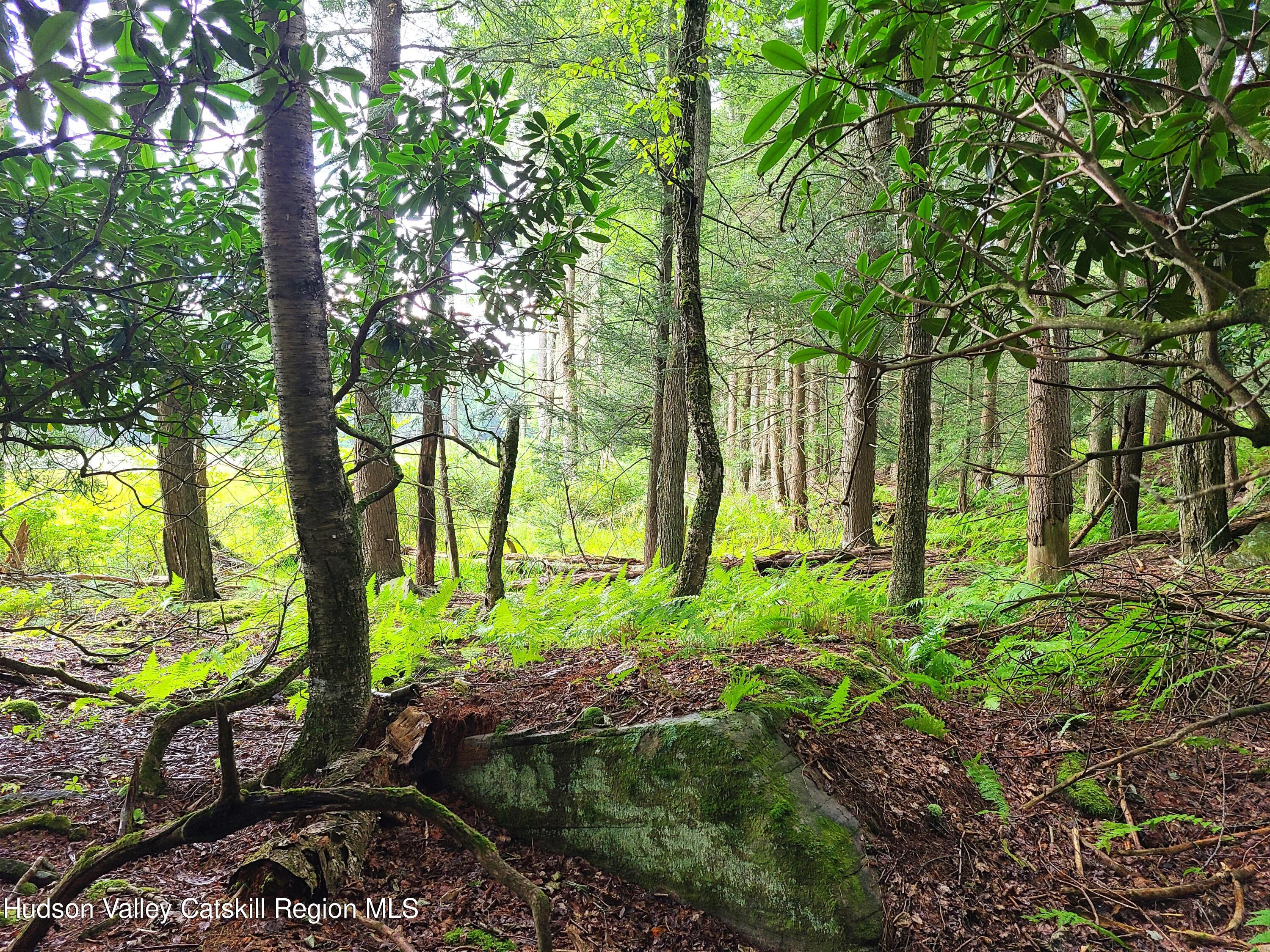 Lot 23 Deer Meadow Road White Lake, NY 12786 - Photo 21 of 39 a backyard of a house with lots of green space