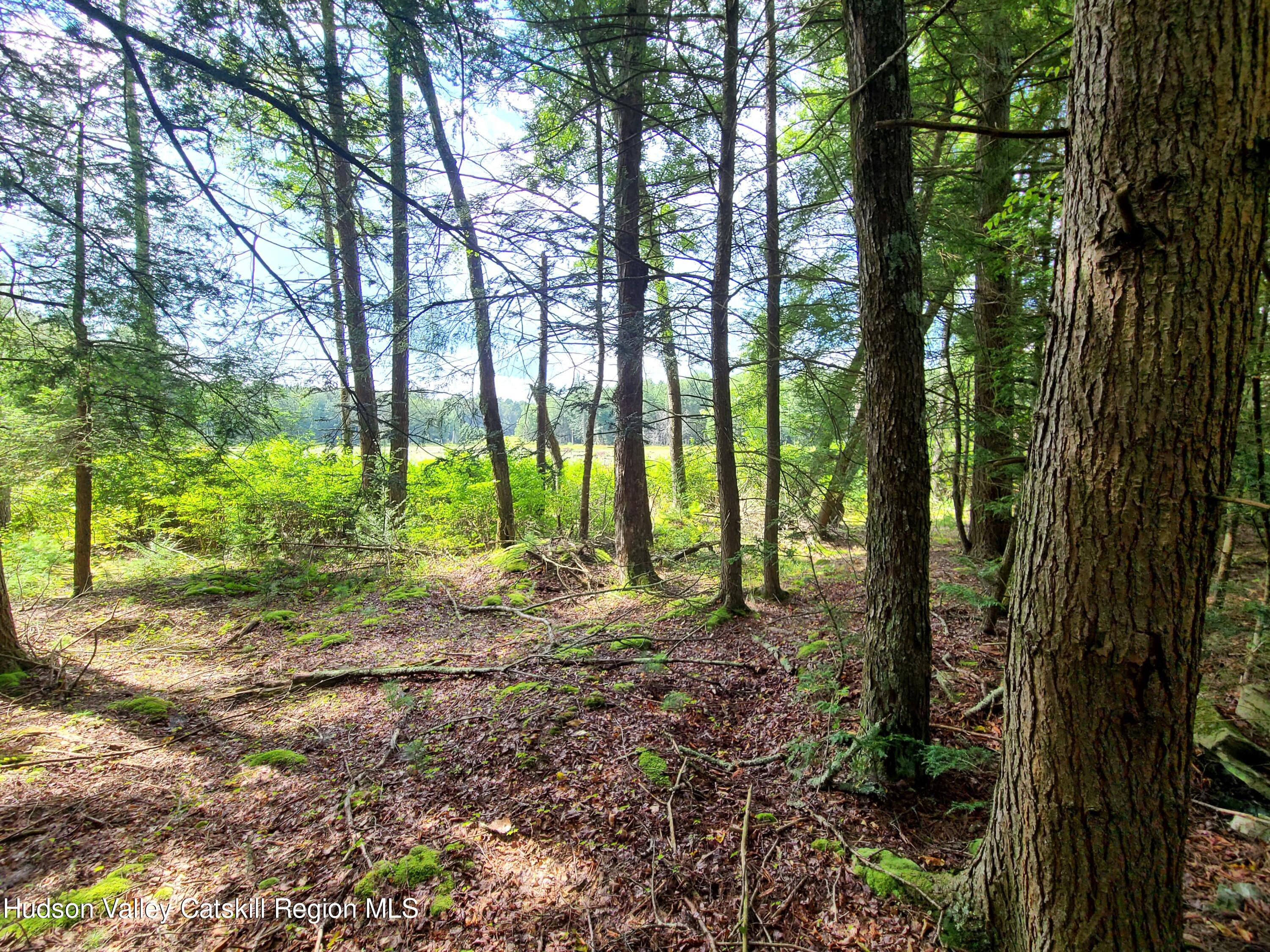 Lot 23 Deer Meadow Road White Lake, NY 12786 - Photo 23 of 39 a view of a yard with large trees