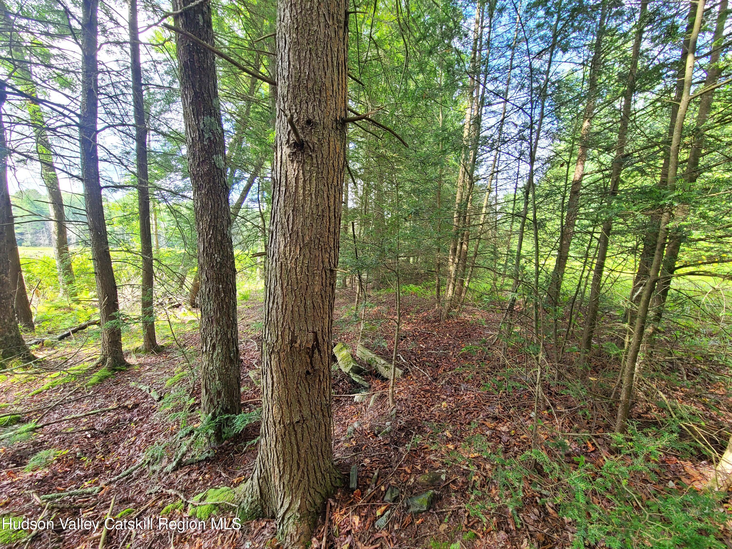 Lot 23 Deer Meadow Road White Lake, NY 12786 - Photo 24 of 39 a view of a trees and yard