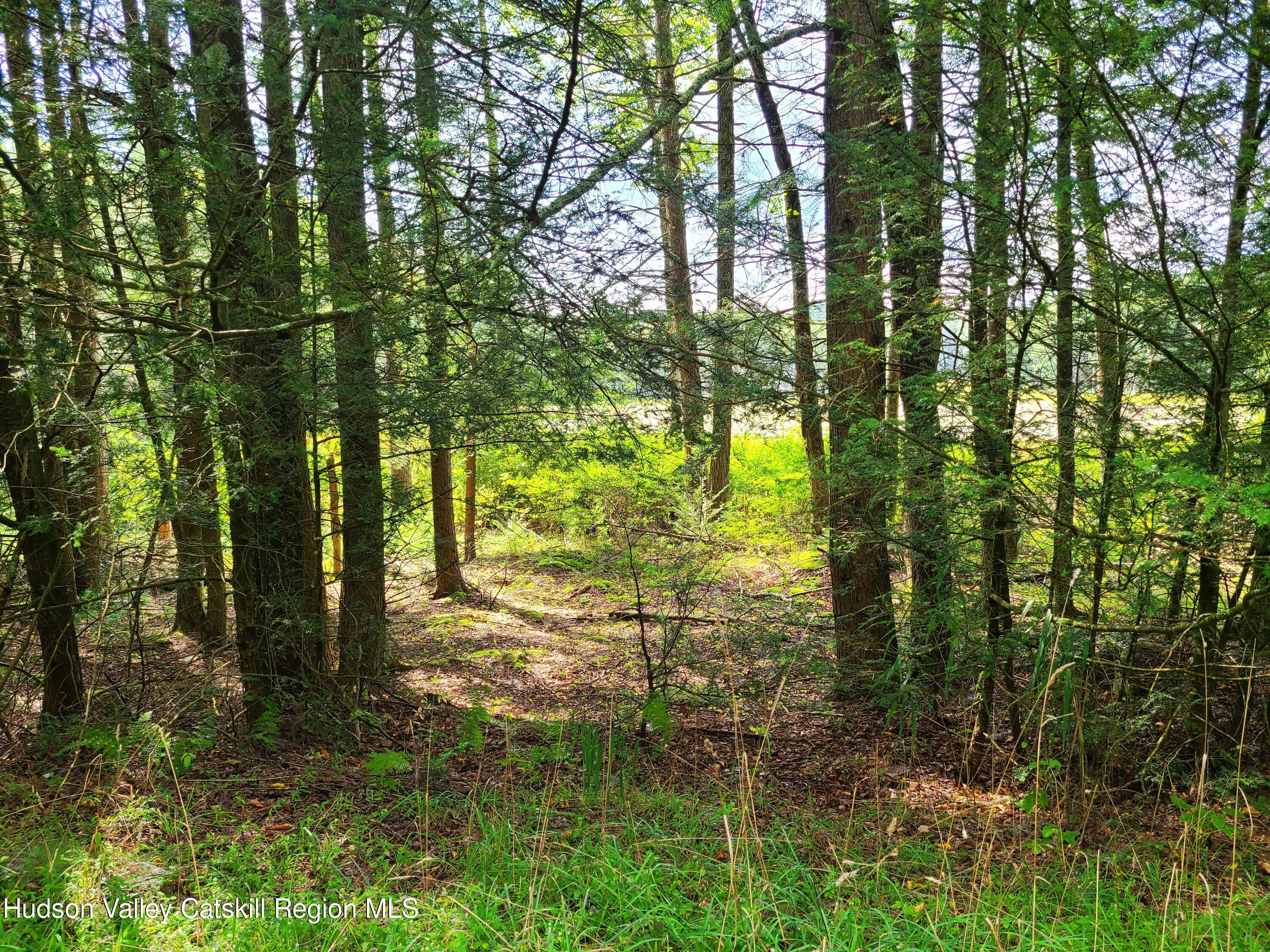 Lot 23 Deer Meadow Road White Lake, NY 12786 - Photo 25 of 39 a view of outdoor space and a yard