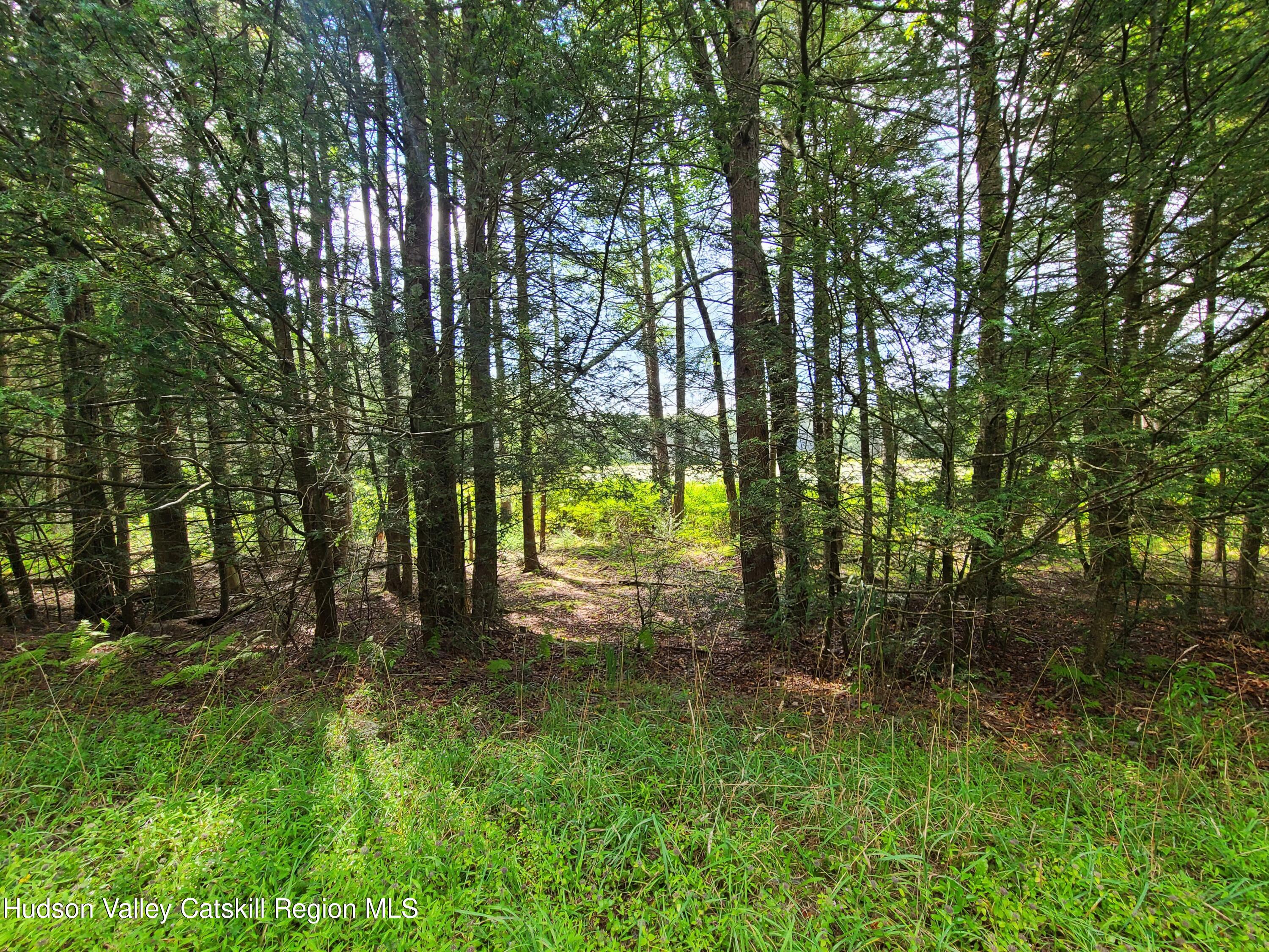 Lot 23 Deer Meadow Road White Lake, NY 12786 - Photo 26 of 39 a view of outdoor space and yard