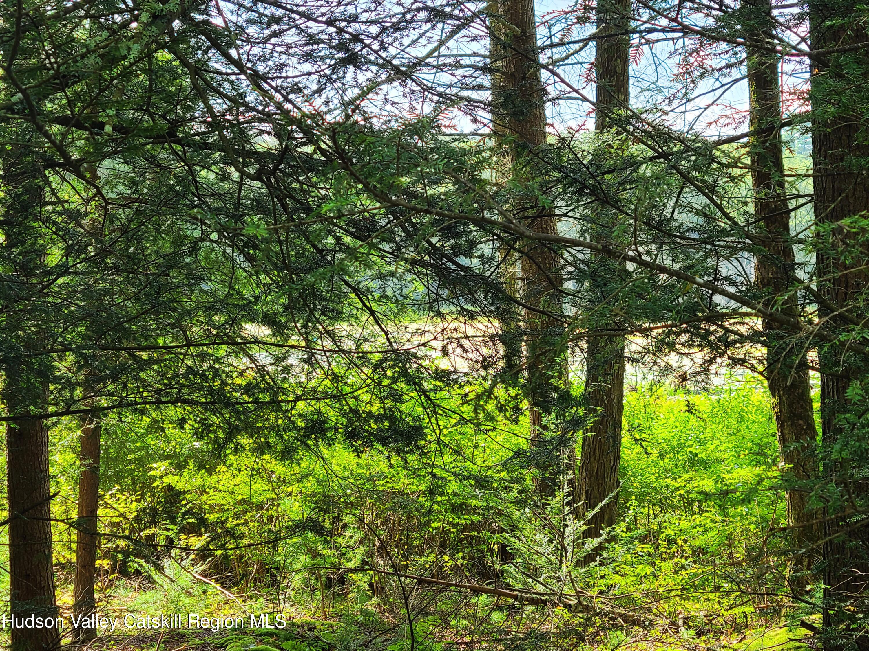 Lot 23 Deer Meadow Road White Lake, NY 12786 - Photo 27 of 39 a view of a tree in a garden