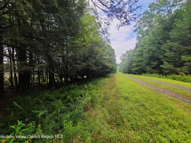 a view of an outdoor space and a yard