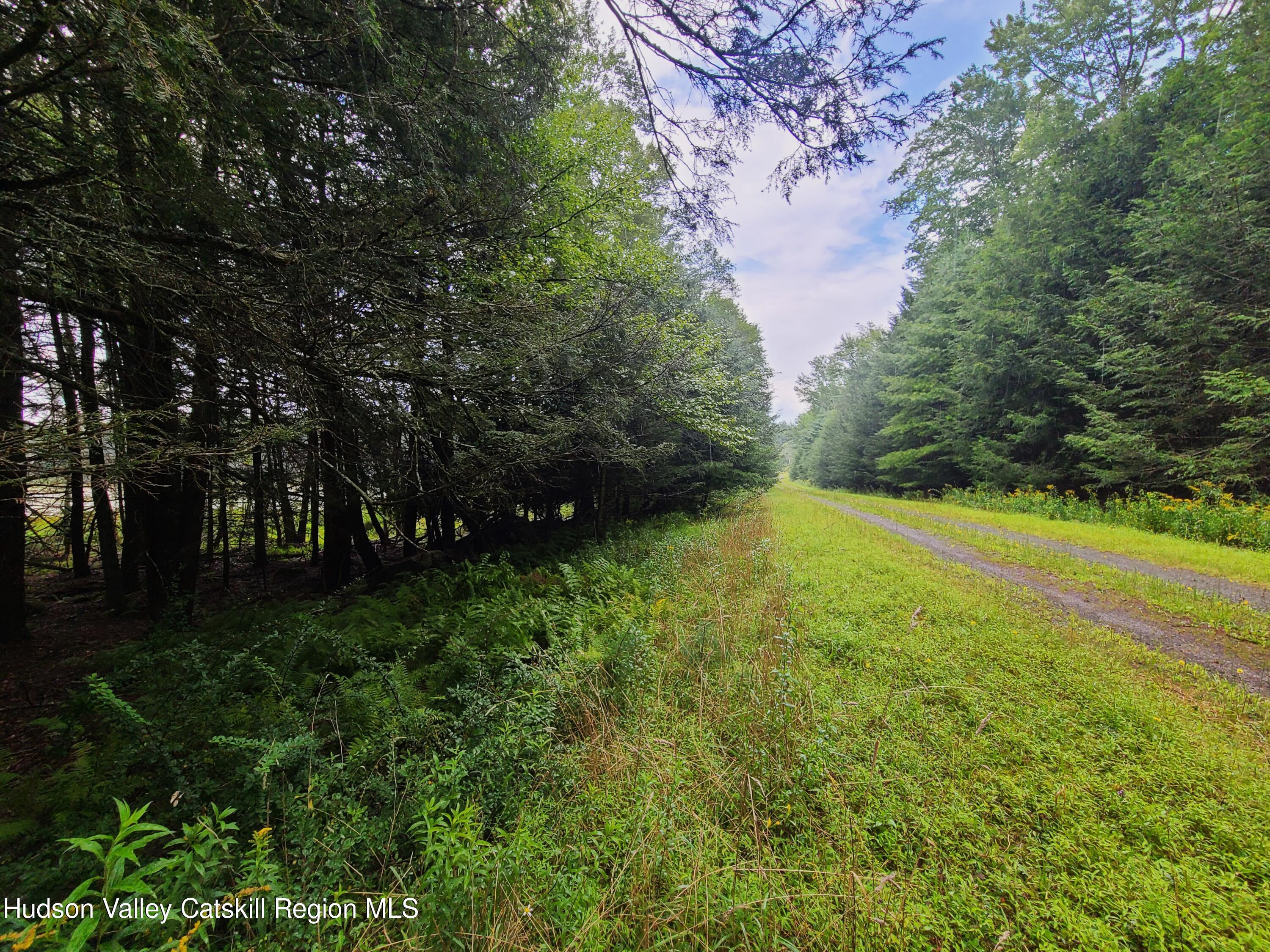 Lot 23 Deer Meadow Road White Lake, NY 12786 - Photo 29 of 39 a view of an outdoor space and a yard