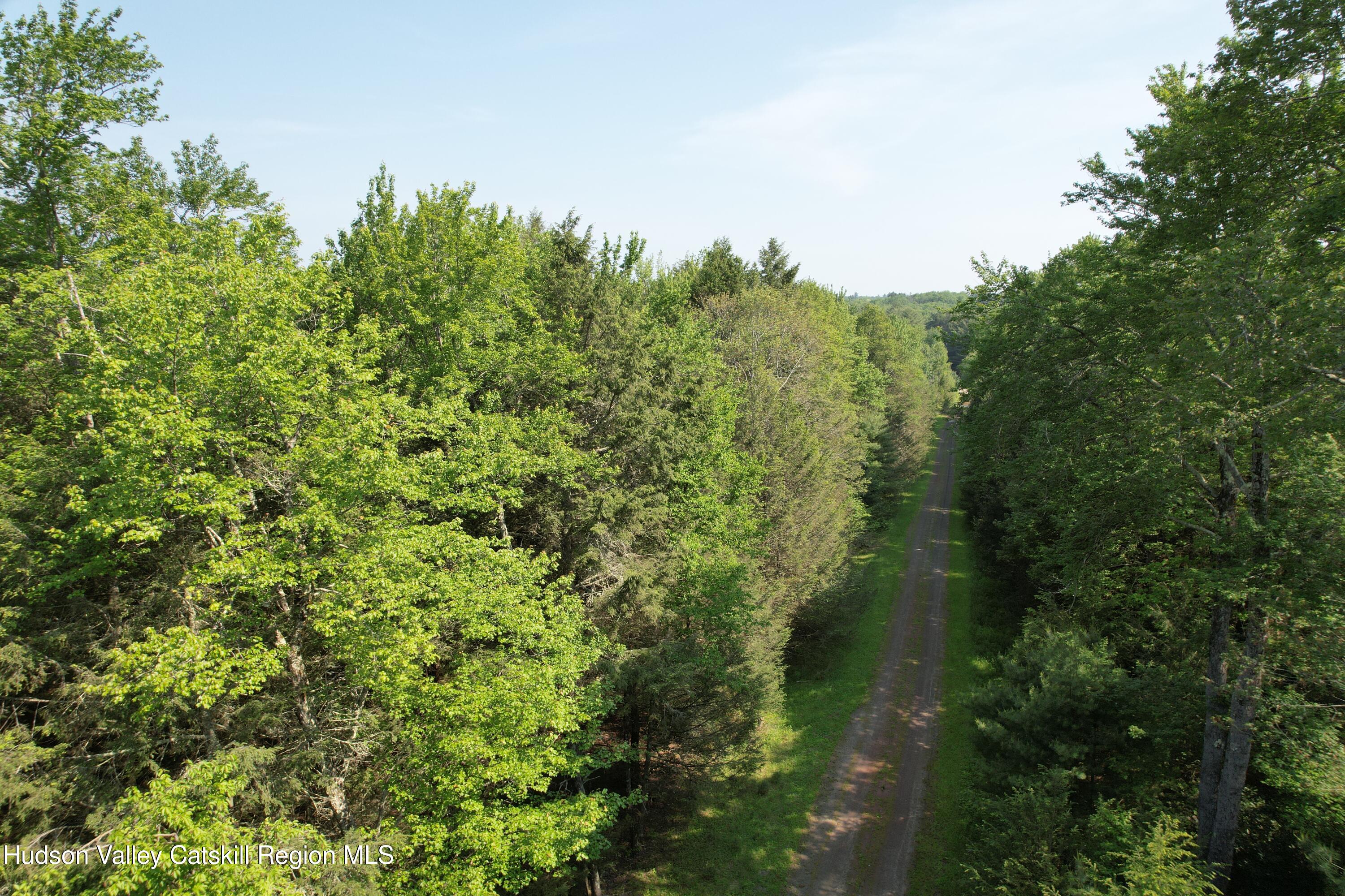 Lot 23 Deer Meadow Road White Lake, NY 12786 - Photo 3 of 39 a view of a forest