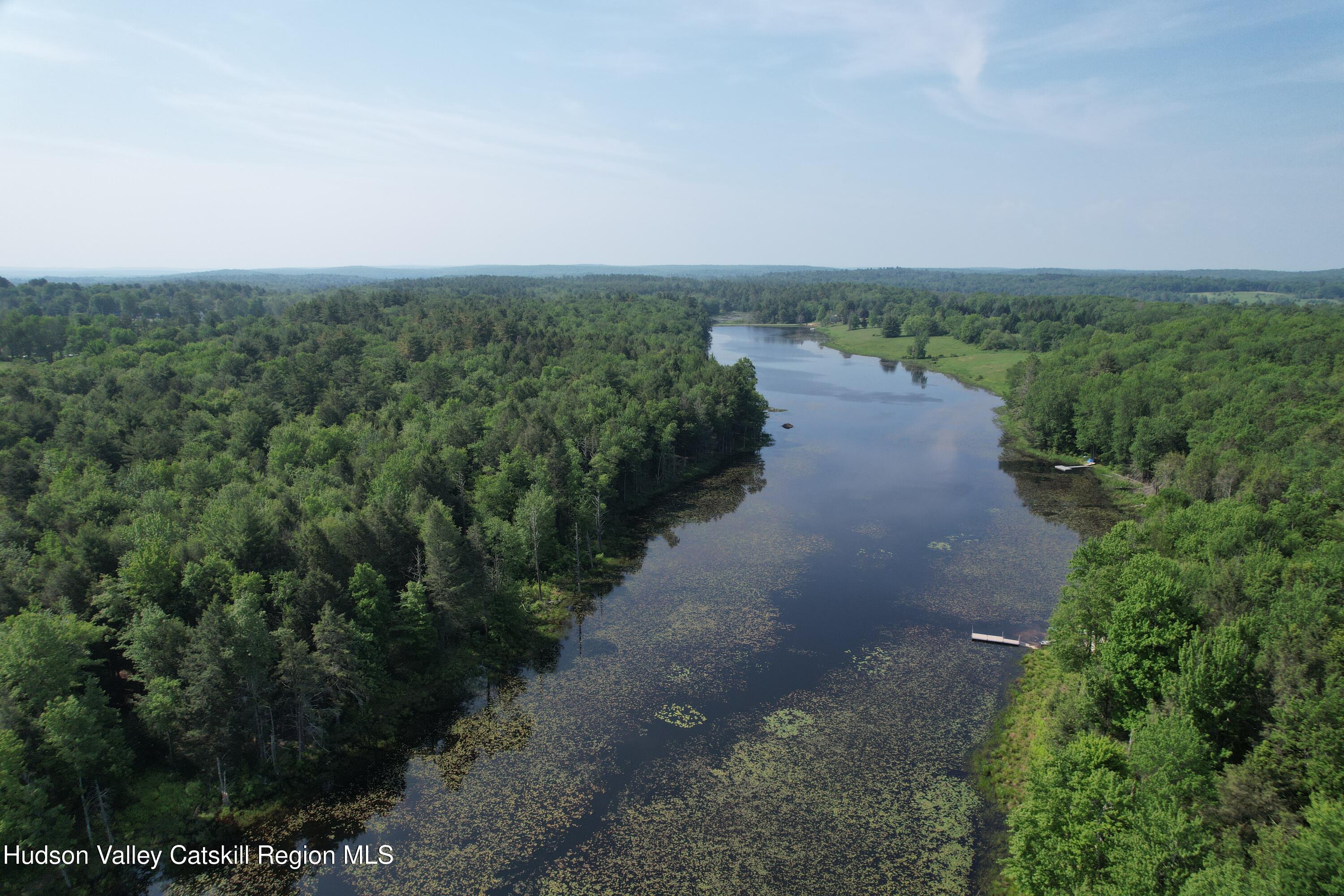 Lot 23 Deer Meadow Road White Lake, NY 12786 - Photo 34 of 39 an aerial view of a forest with houses