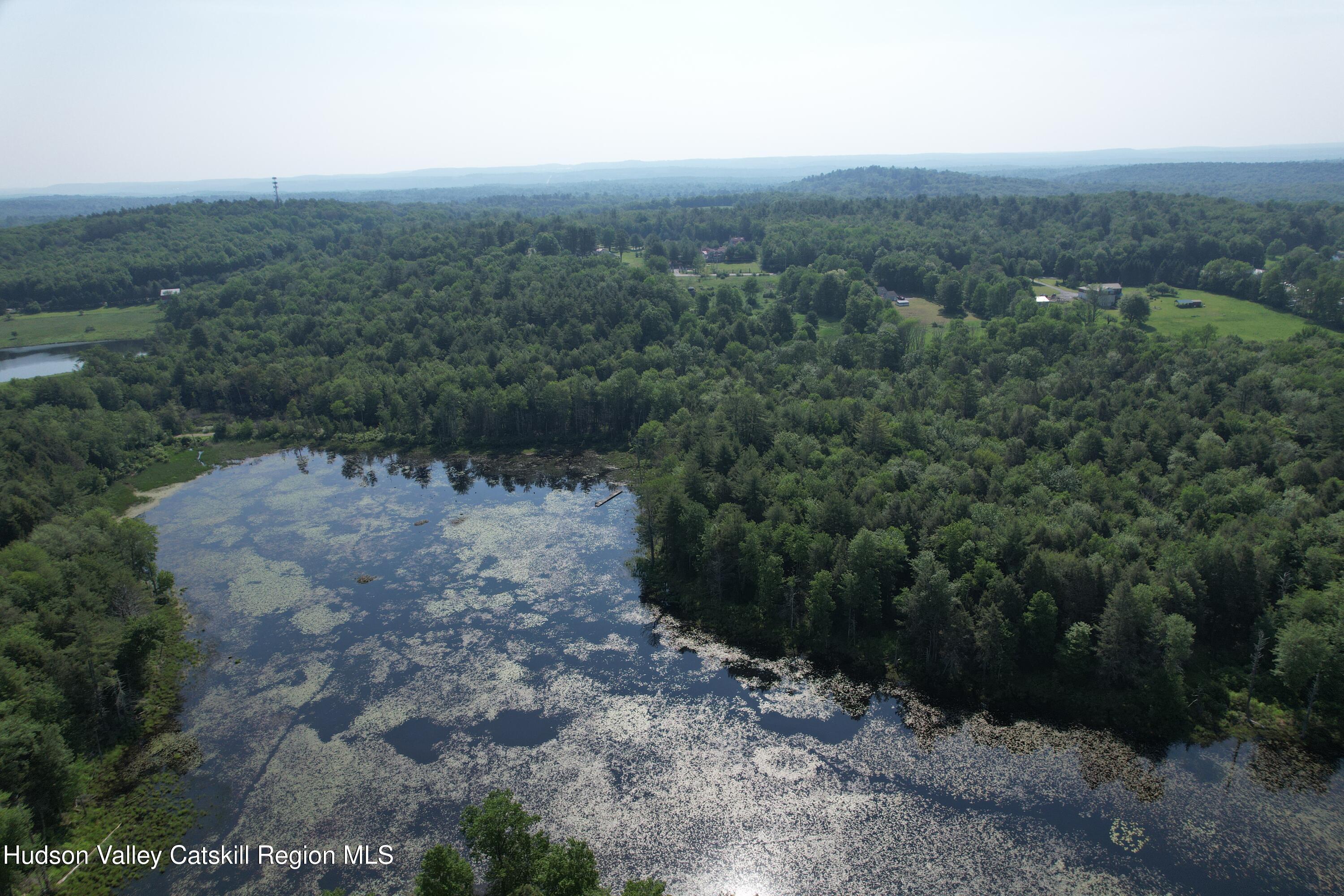 Lot 23 Deer Meadow Road White Lake, NY 12786 - Photo 35 of 39 a view of a big yard