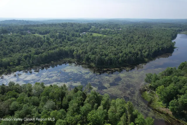 an aerial view of forest