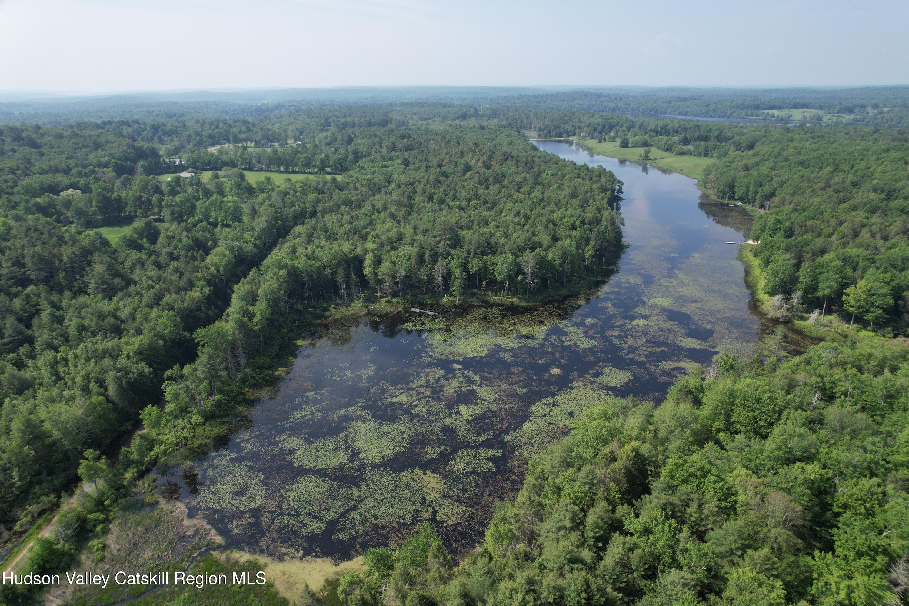 Lot 23 Deer Meadow Road White Lake, NY 12786 - Photo 37 of 39 an aerial view of a house with a yard