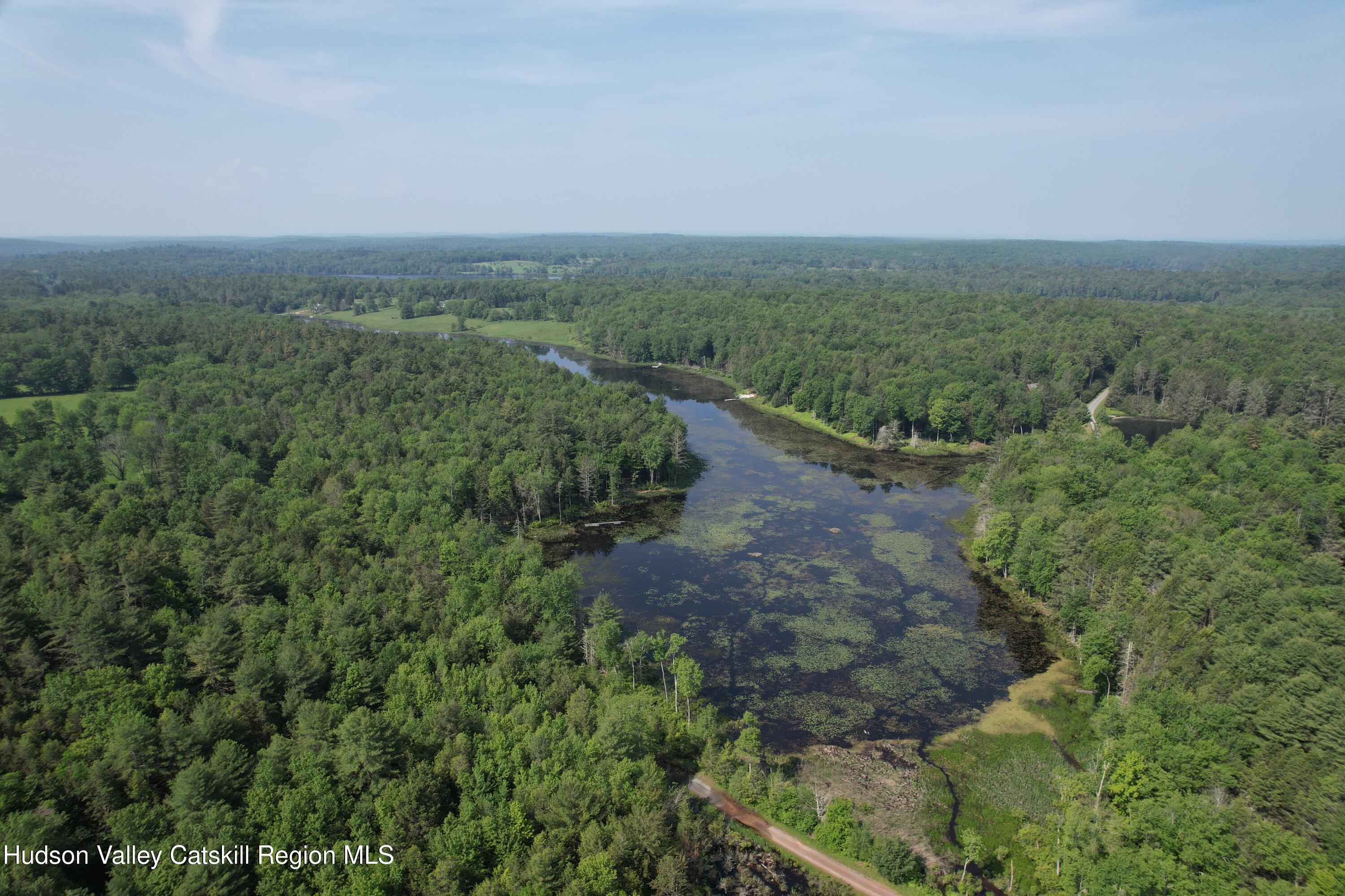 Lot 23 Deer Meadow Road White Lake, NY 12786 - Photo 38 of 39 a view of a big yard with lots of green space