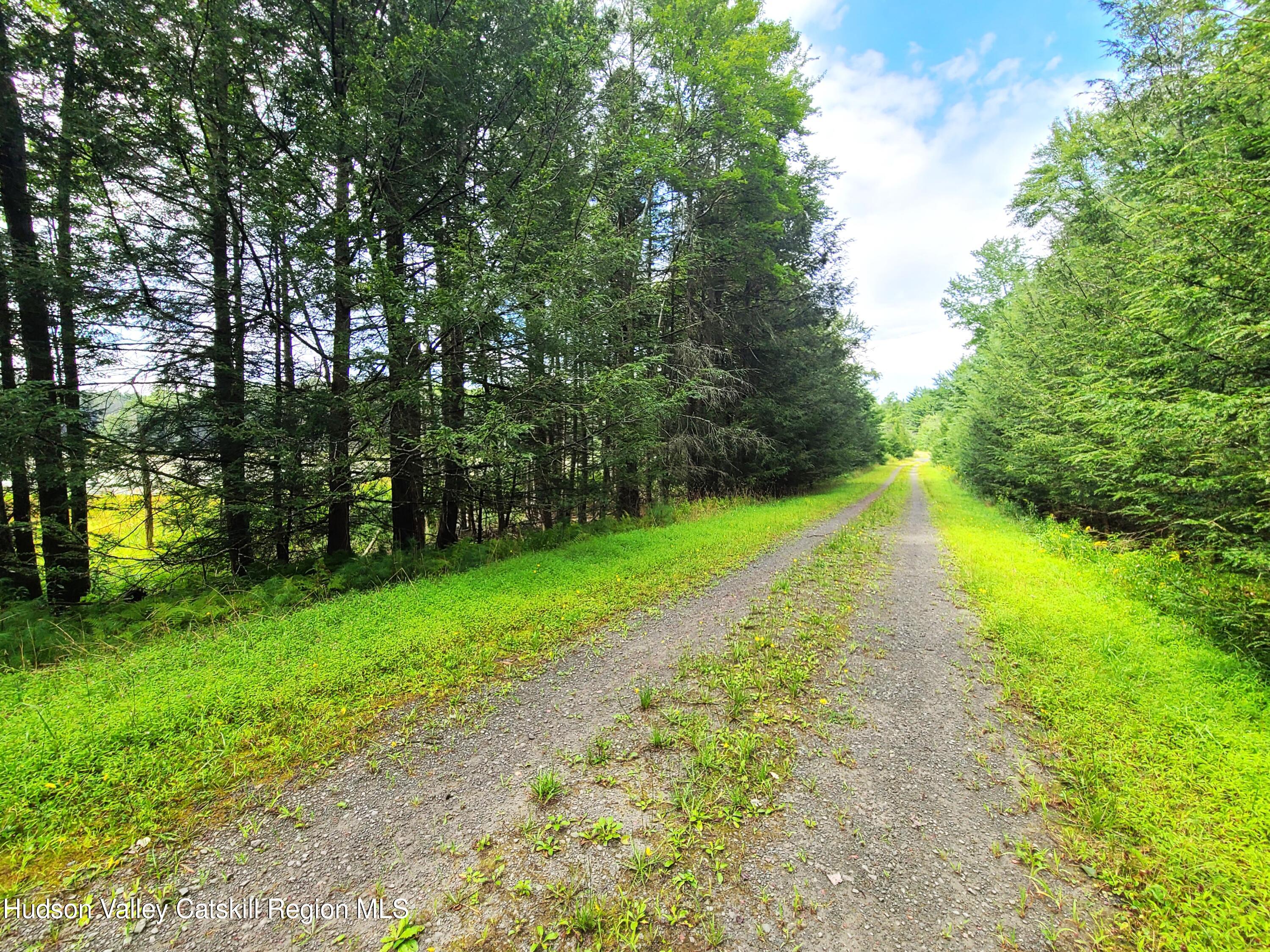 Lot 23 Deer Meadow Road White Lake, NY 12786 - Photo 39 of 39 a view of a yard with a trees