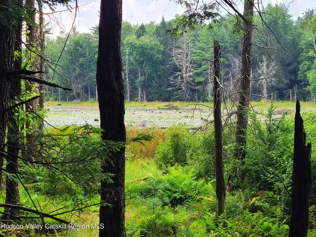 a view of lake from window