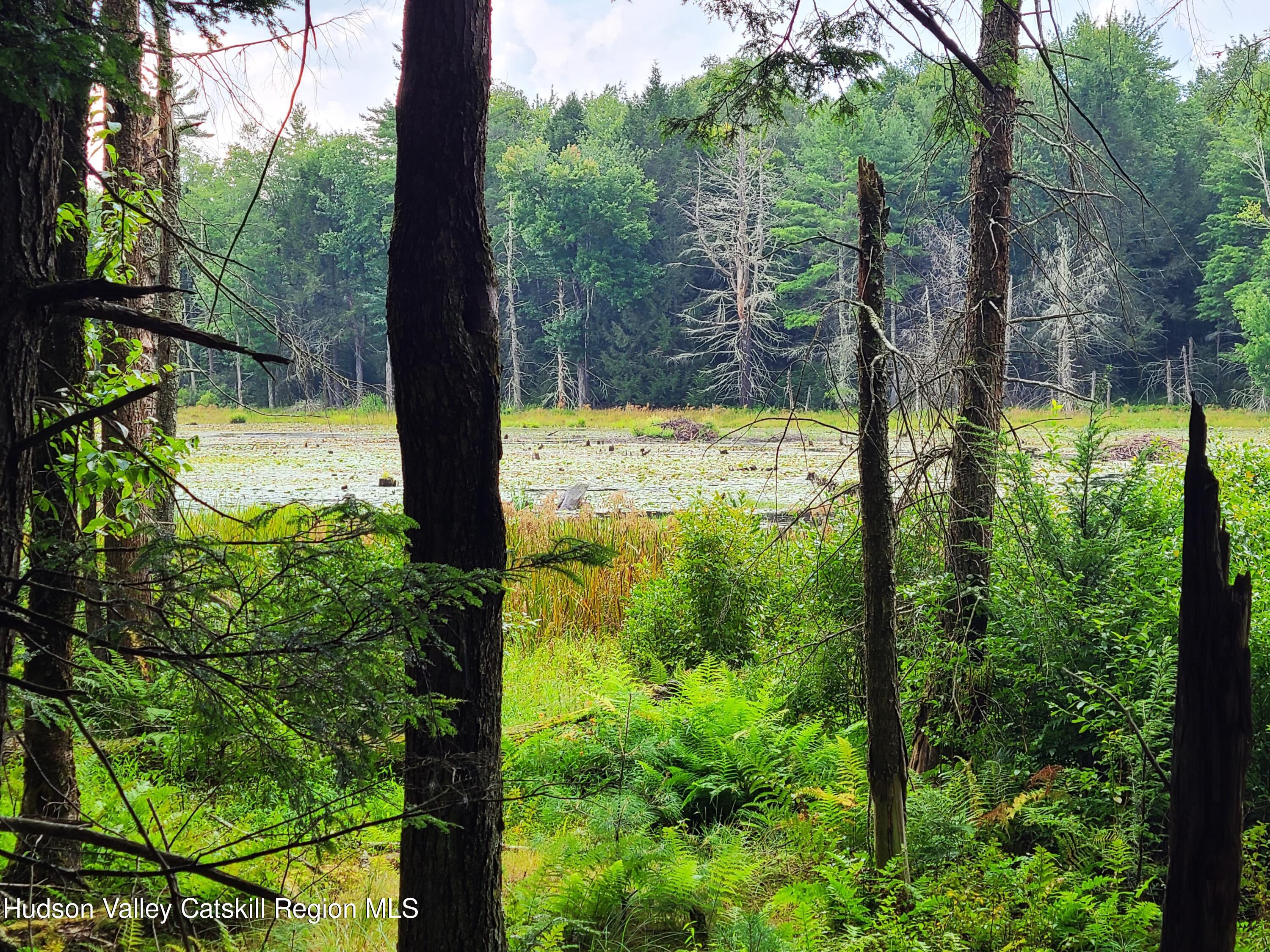 Lot 23 Deer Meadow Road White Lake, NY 12786 - Photo 5 of 39 a view of lake from window