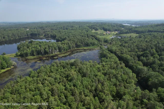 an aerial view of forest