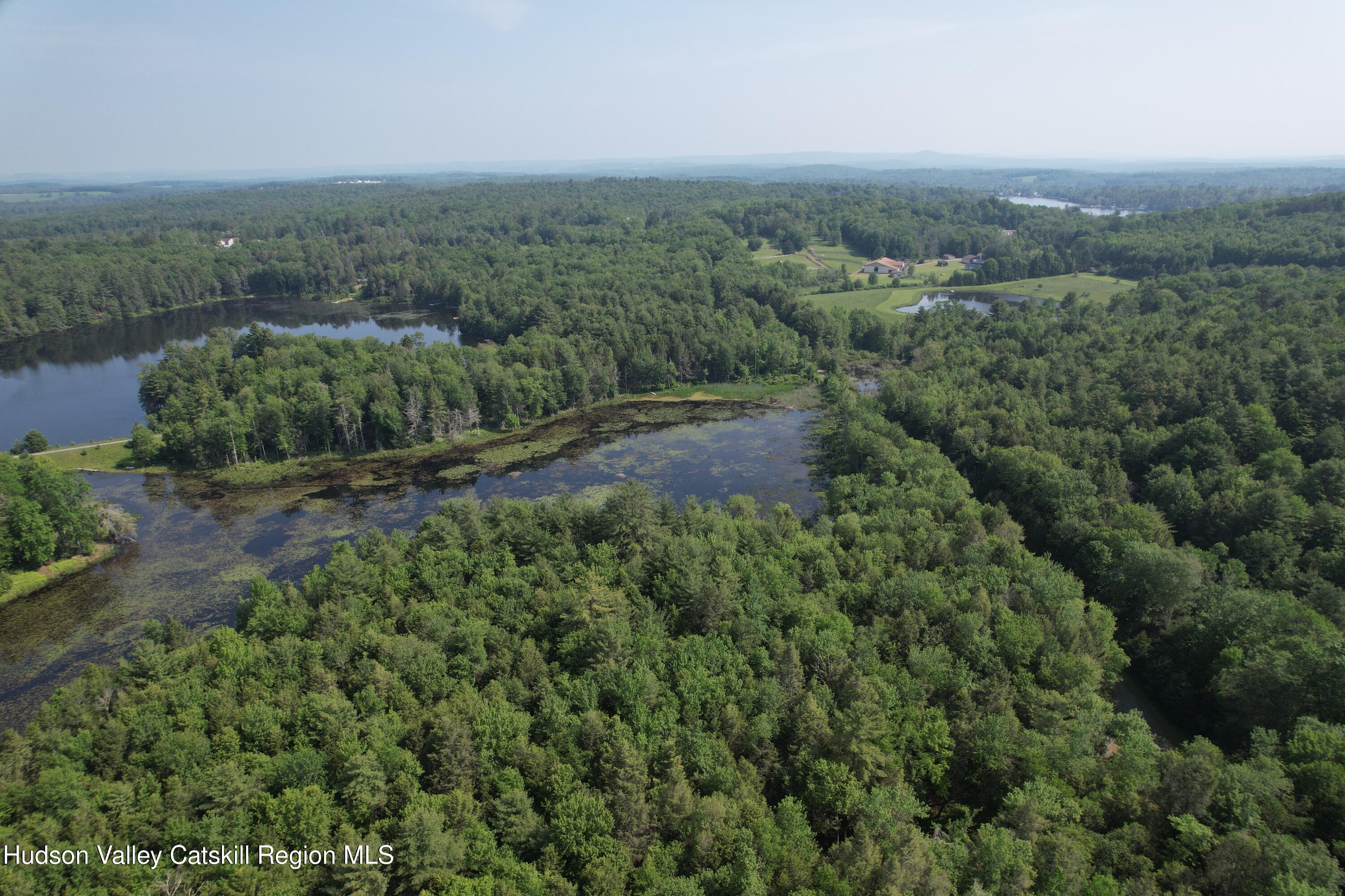 Lot 23 Deer Meadow Road White Lake, NY 12786 - Photo 7 of 39 an aerial view of forest