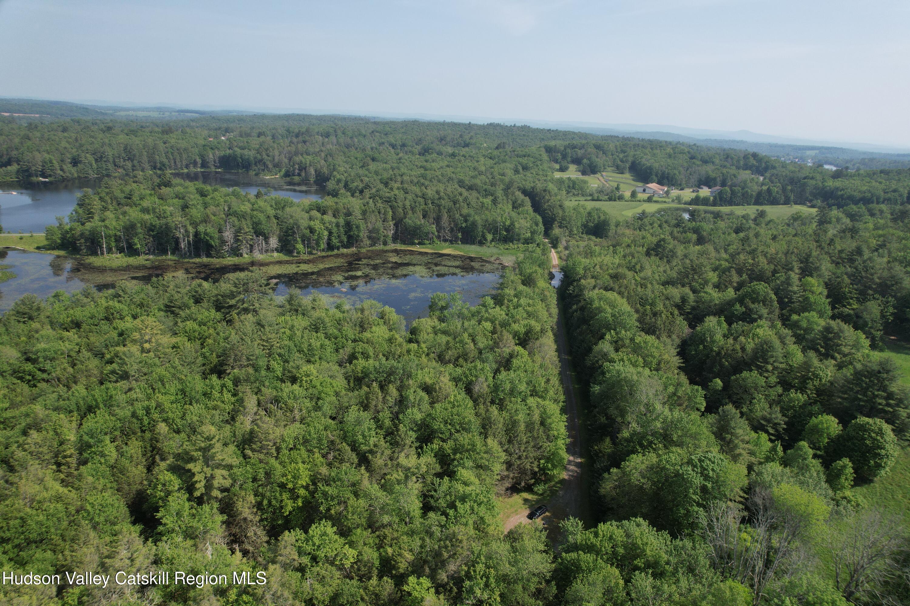 Lot 23 Deer Meadow Road White Lake, NY 12786 - Photo 8 of 39 an aerial view of green landscape with trees houses and mountain view
