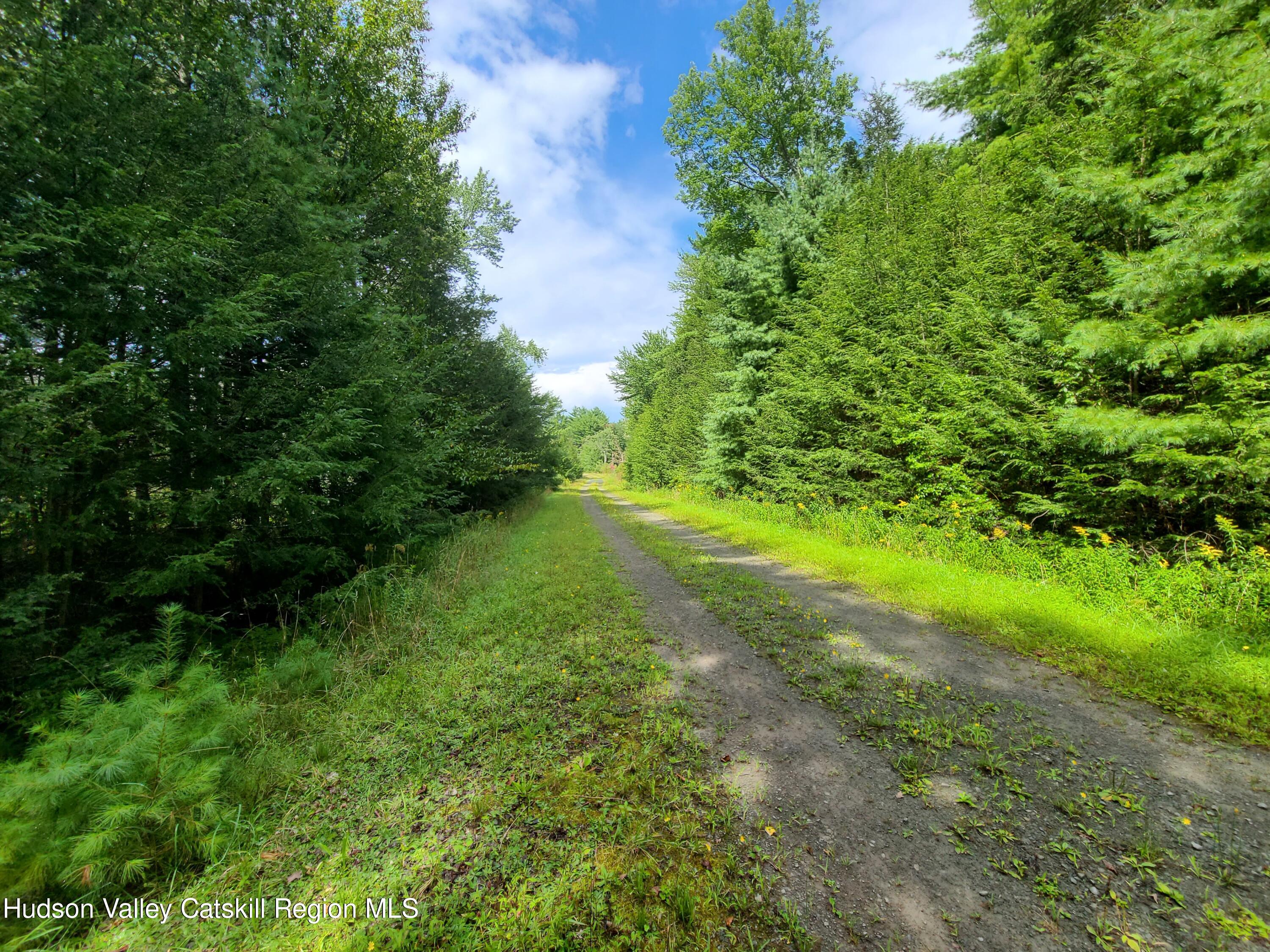 Lot 23 Deer Meadow Road White Lake, NY 12786 - Photo 10 of 39 a view of yard with green space