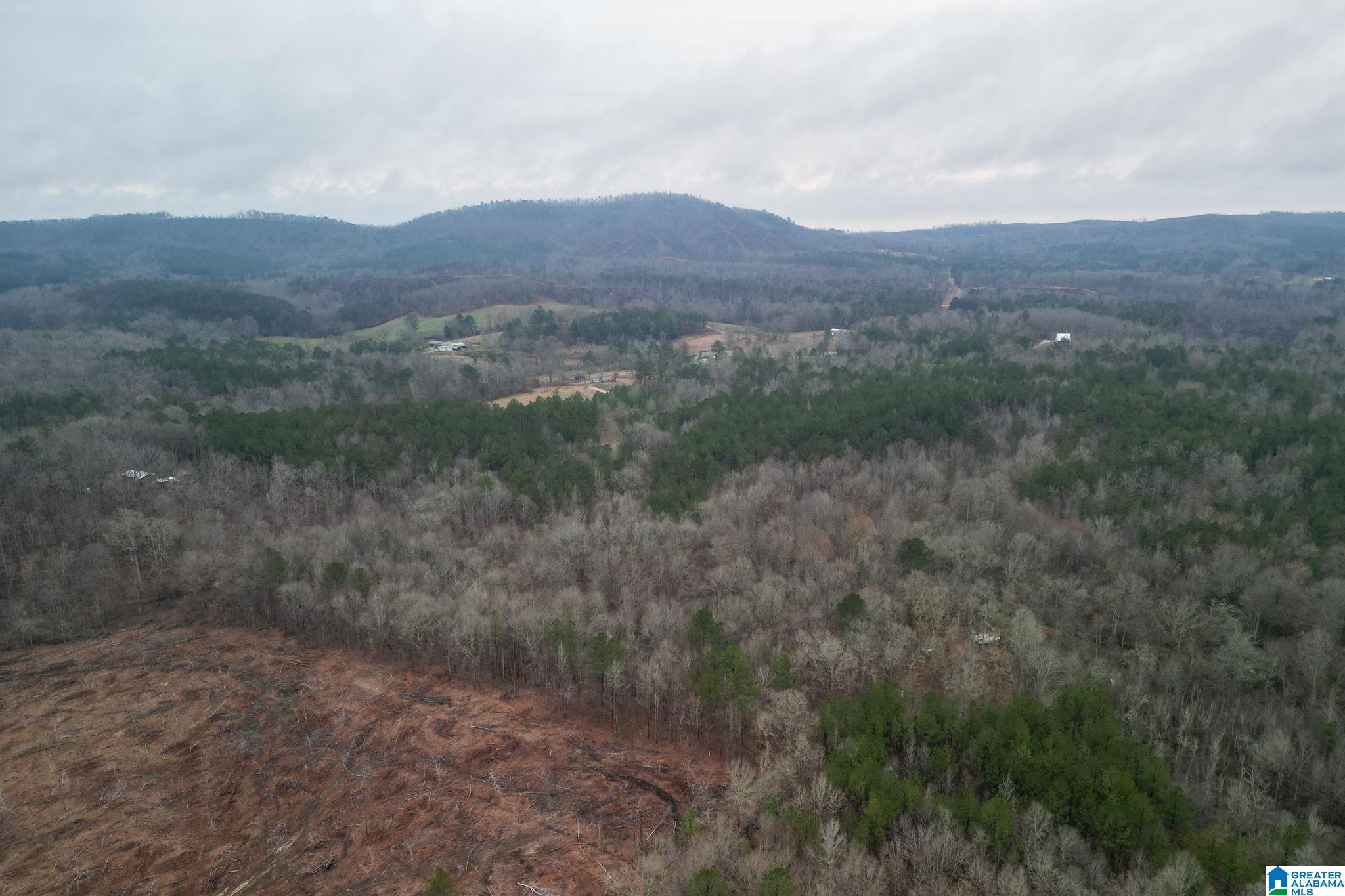 0 Highway 49 Lineville, AL 36266 - Photo 1 of 18