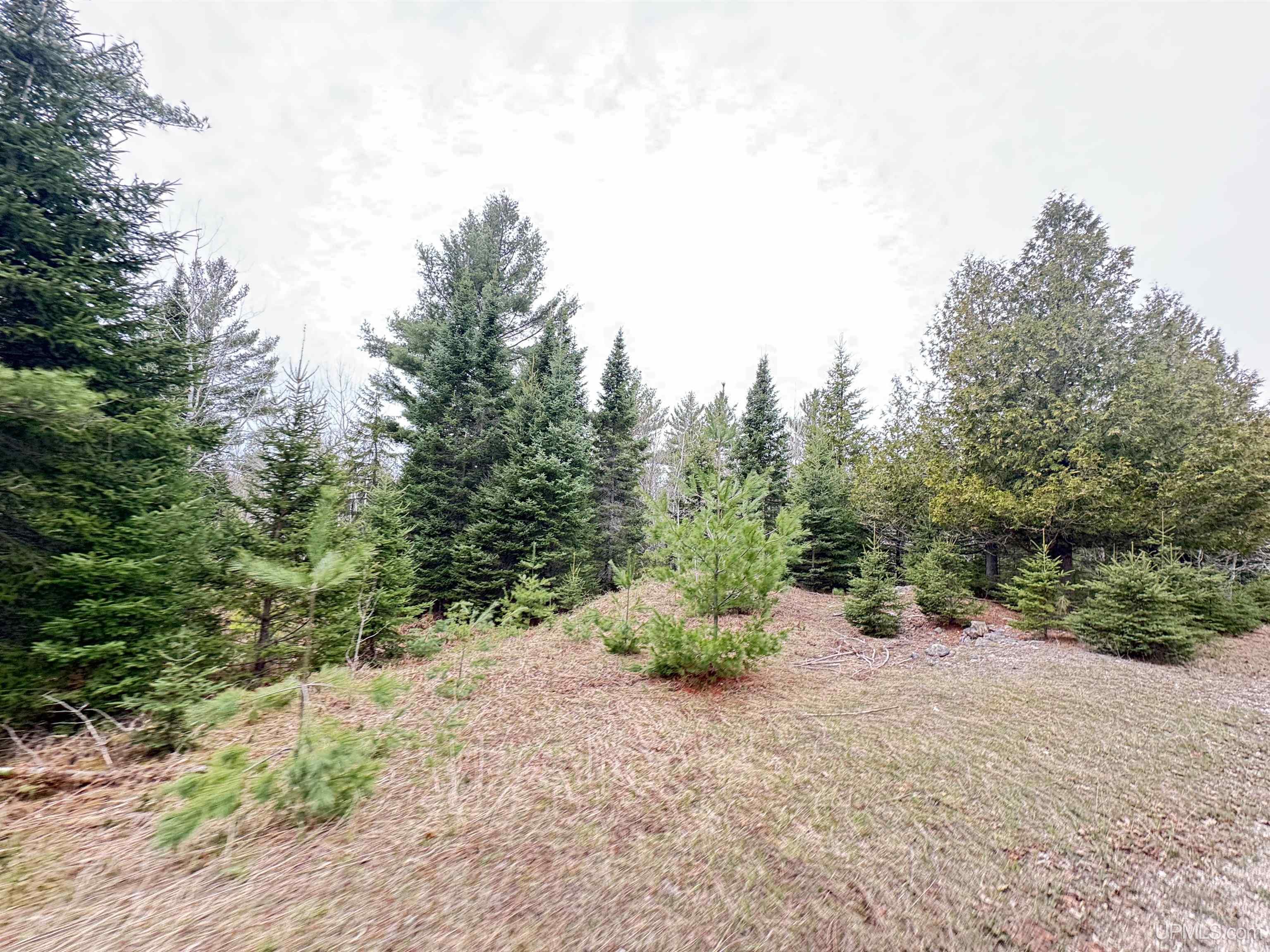 W4777 Lahay Road Daggett, MI 49821 - Photo 47 of 67