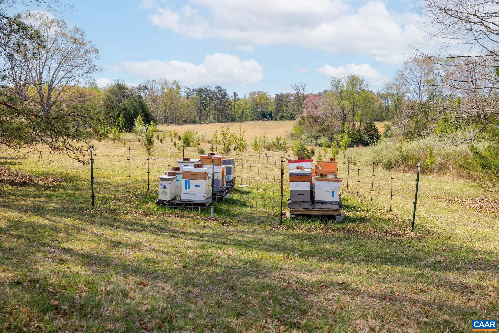 4764 Advance Mills Road Earlysville, VA 22936 - Photo 26 of 73