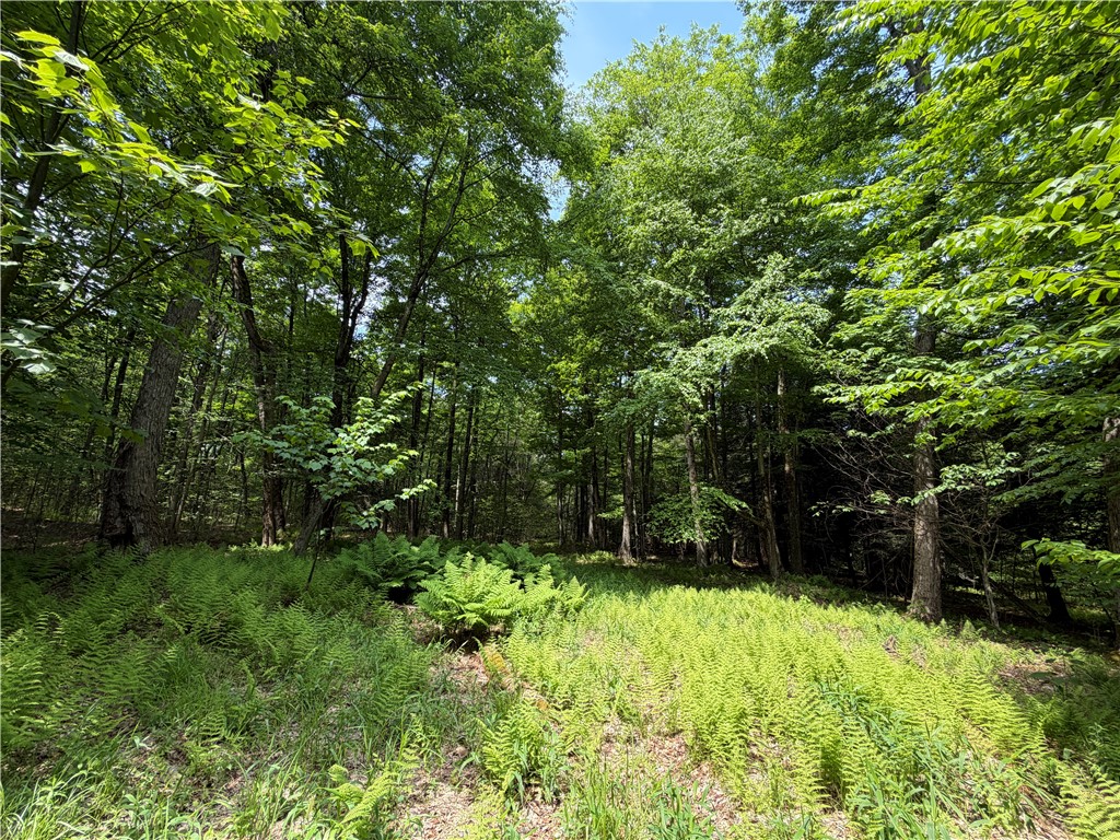 Vl 106 Road Alma, NY 14708 - Photo 27 of 36 Gallery Image 27