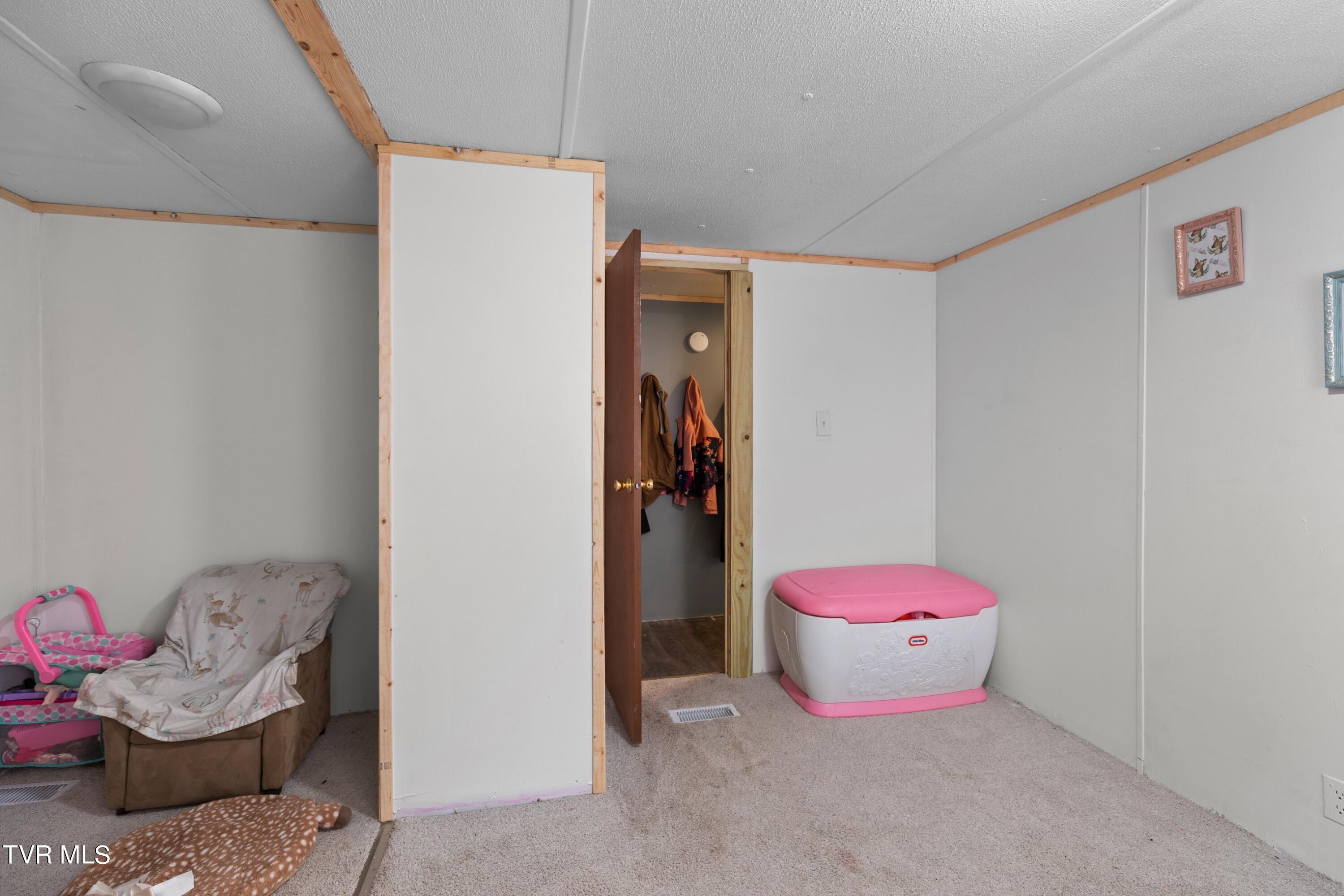 993 Copper Ridge Road Thorn Hill, TN 37881 - Photo 14 of 25 DL5A3806.jpg-SMALL