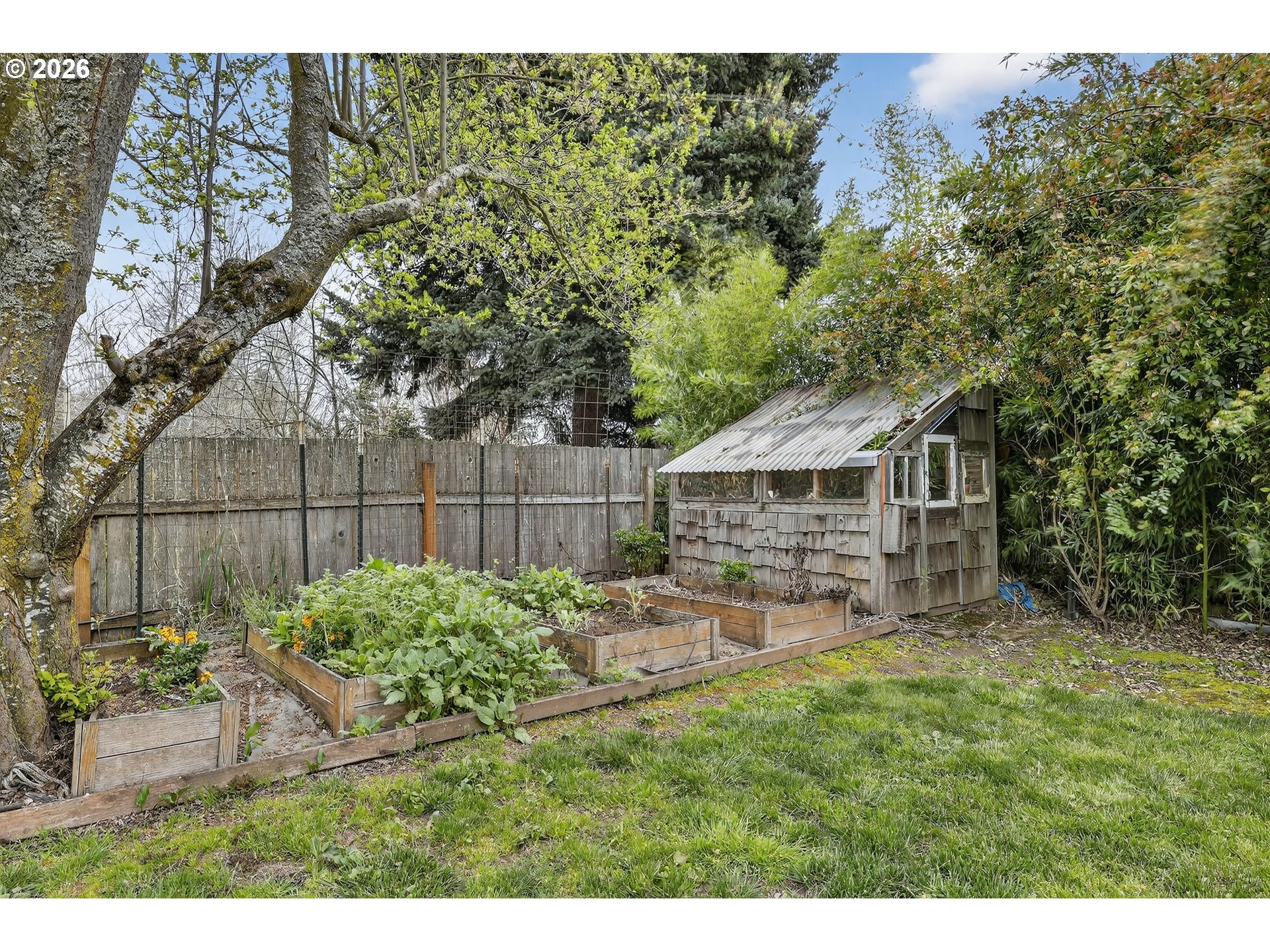 352 21st Street Northeast Salem, OR 97301 - Photo 32 of 41 a garden with trees in front of it
