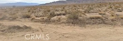 a view of a dry yard with mountains and bushes
