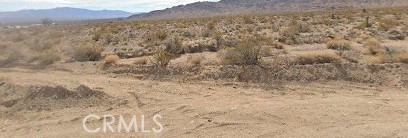 101375 Nipton Road Nipton, CA 92364 - Photo 2 of 2 a view of a dry yard with mountains and bushes