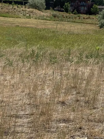 a view of a yard with an outdoor space