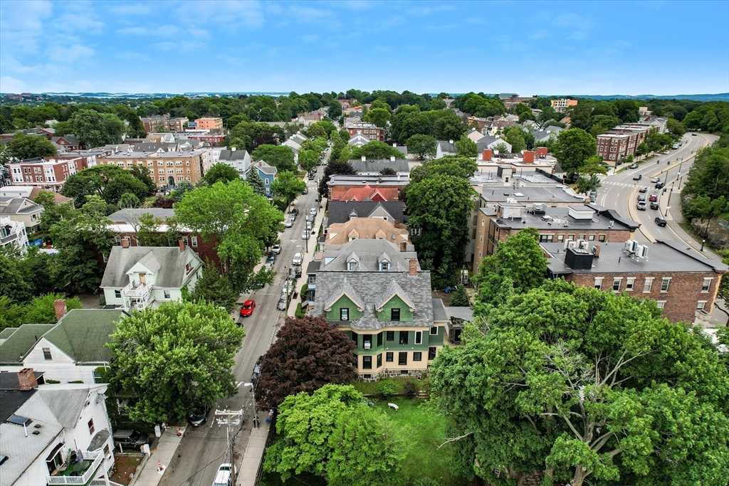 13 Homestead Street Boston, MA 02121 - Photo 11 of 30