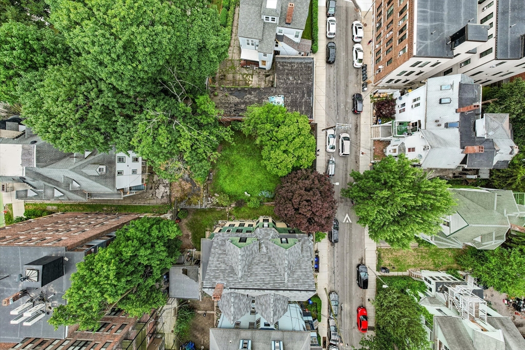 13 Homestead Street Boston, MA 02121 - Photo 15 of 30