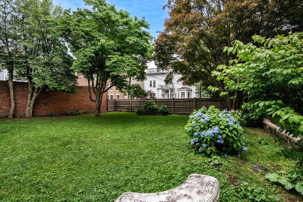 13 Homestead Street Boston, MA 02121 - Photo 19 of 30