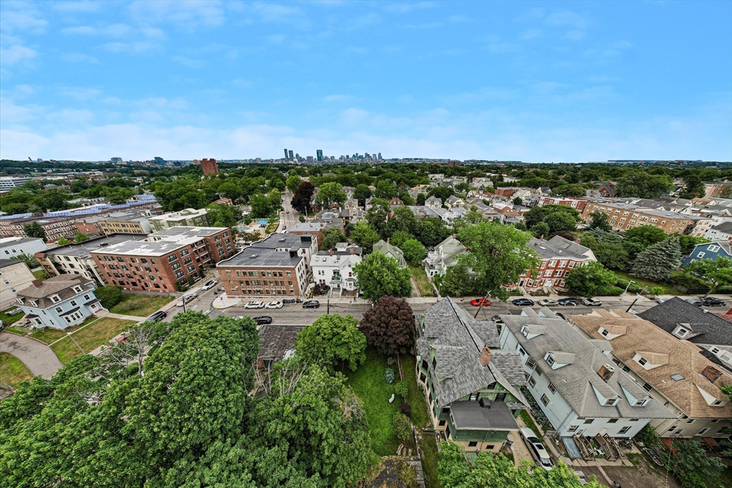 13 Homestead Street Boston, MA 02121 - Photo 9 of 30