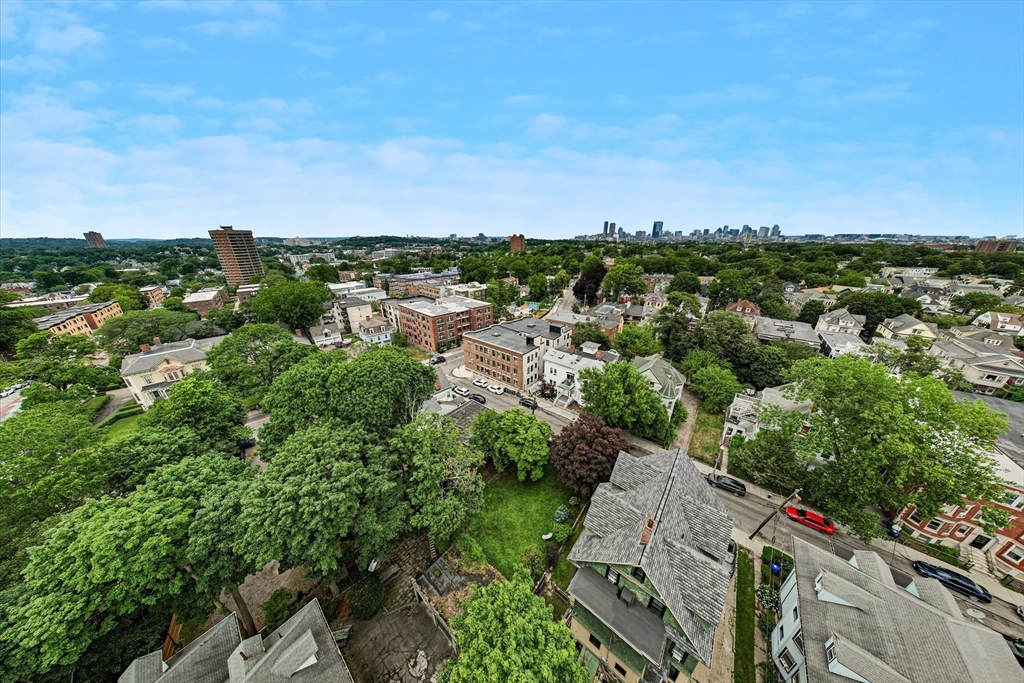 13 Homestead Street Boston, MA 02121 - Photo 10 of 30